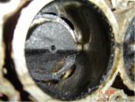 64' Evinrude 5.5 Dirty Cy-clsup.jpg