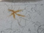 Deck Discoloration.JPG