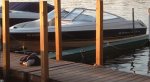 Bayliner.JPG