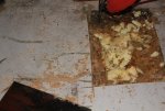 132_square cut.jpg