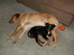 wally and briggs.jpg