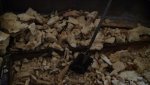 158_more foam.jpg