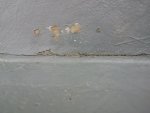 2011-11-08 12.50.48.jpg