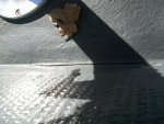 2011-11-08 12.51.03.jpg