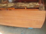 woody restore 002.jpg