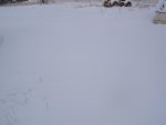 100_4180.jpg
