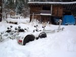 100_4179.jpg