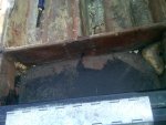 Ormond Beach-20111221-00010.jpg