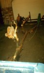 trailer 12-23-2011 2.jpg