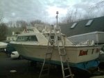 IMG_20111129_154819.jpg