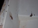 100_0329.jpg