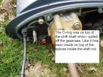 O-ring at dem2.JPG