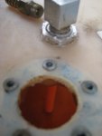 closeup1.JPG