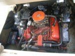 stingray3.JPG