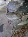 Nose Plate.jpg