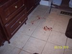 100_3506.jpg