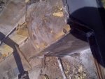 Islip-20120307-00298.jpg