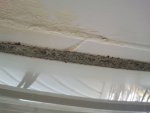 2012-03-19 15.46.50.jpg