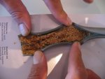 ethanol in fuel line2.jpg