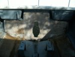 transom view.jpg