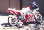 y91fzr600.jpg