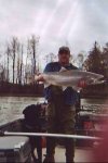 fish2.jpg