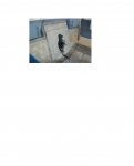 019 small.jpg