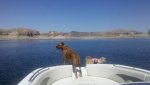 2012-06-08_10-32-06_743.jpg