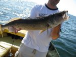 fish6.jpg