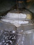 IMG-20120620-00115.jpg