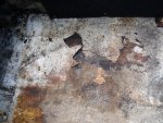 deckrestore4.jpg