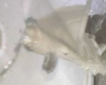 IMG00081.jpg