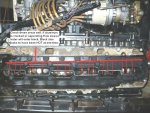 p1030930largemediumhn6.jpg