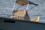 boat_bimT.JPG