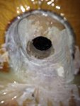 my latest iphone 3g pics 012.jpg