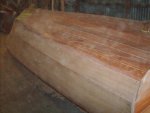 woody restore 002.jpg