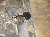 DSCN0475.JPG