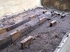 DSCN0528.JPG