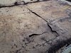 DSCN0487.JPG