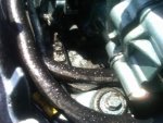 IMG-20120721-00175.jpg