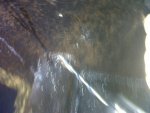 IMG-20120802-00081.jpg