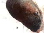 20120807_121049.jpg