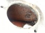 20120807_121033.jpg