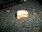 100_4330.jpg