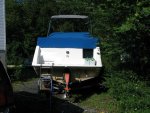 IMG_5429.jpg