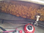 2012-09-10_16-42-04_75.jpg