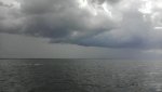 IMAG0267.jpg