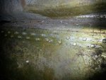 20120923_115617.jpg