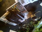 IMG-20121002-00781.jpg