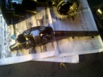 IMG-20121002-00782.jpg
